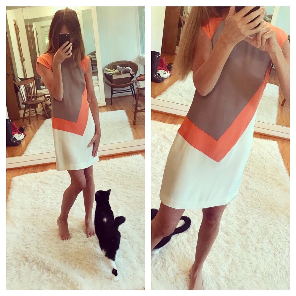 French Connection Silk Color Block Dress NWT